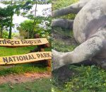 Chitwan National Park