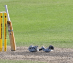 Cricket_sign