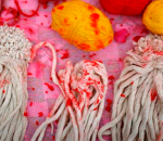 Janai Purnima_large