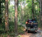 Chitwan National Park 1